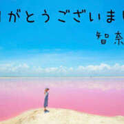 ヒメ日記 2025/11/25 02:32 投稿 高野智奈美 五十路マダム　和歌山店