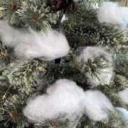 ヒメ日記 2025/11/10 21:28 投稿 りほ 実録！おとなのわいせつ倶楽部