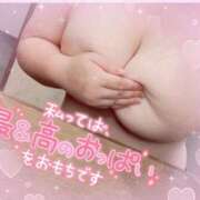 ヒメ日記 2024/12/15 10:18 投稿 カワフグ　河豚 女の子市場