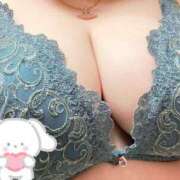 ヒメ日記 2025/02/18 07:48 投稿 カワフグ　河豚 女の子市場