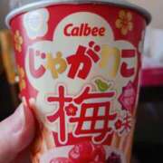 ヒメ日記 2025/04/18 17:18 投稿 カワフグ　河豚 女の子市場