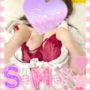 ヒメ日記 2025/10/03 17:18 投稿 カワフグ　河豚 女の子市場