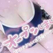 ヒメ日記 2026/08/23 10:38 投稿 カワフグ　河豚 女の子市場