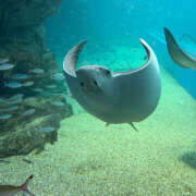 ヒメ日記 2025/07/12 18:36 投稿 みあな ドリーム水戸