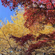 ヒメ日記 2025/11/28 12:50 投稿 みあな ドリーム水戸