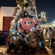 ヒメ日記 2025/11/29 08:20 投稿 みあな ドリーム水戸