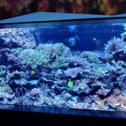 ヒメ日記 2025/09/20 11:53 投稿 まり 成田人妻講座