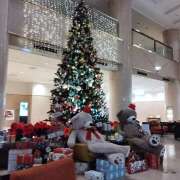 ヒメ日記 2025/12/21 19:52 投稿 まり 成田人妻講座