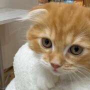 ヒメ日記 2025/07/07 23:45 投稿 ひな 素人系イメージSOAP彼女感大宮館