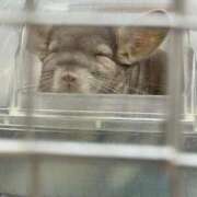 ヒメ日記 2025/08/03 21:34 投稿 ひな 素人系イメージSOAP彼女感大宮館