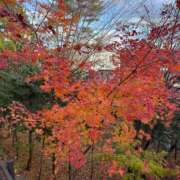 ヒメ日記 2025/11/15 10:58 投稿 ひな 素人系イメージSOAP彼女感大宮館