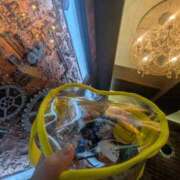 ヒメ日記 2025/01/19 17:19 投稿 さゆこ 錦糸町人妻ヒットパレード（シンデレラグループ）