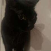 ヒメ日記 2025/05/29 12:03 投稿 さやか 完熟ばなな札幌・すすきの