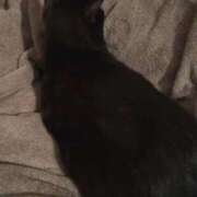 ヒメ日記 2025/09/04 18:49 投稿 さやか 完熟ばなな札幌・すすきの