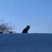 ヒメ日記 2026/02/27 22:09 投稿 さやか 完熟ばなな札幌・すすきの