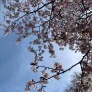 ヒメ日記 2026/04/25 22:09 投稿 さやか 完熟ばなな札幌・すすきの