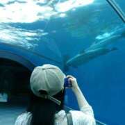 ヒメ日記 2025/07/14 10:11 投稿 せり 池袋しろパラ