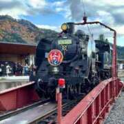 ヒメ日記 2025/12/02 23:18 投稿 せり 池袋しろパラ