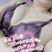 ヒメ日記 2026/08/15 17:57 投稿 にいな 熟女家 梅田店