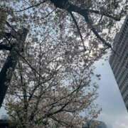 ヒメ日記 2025/04/11 10:15 投稿 あいみ 佐久上田人妻隊