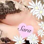 ヒメ日記 2025/04/17 23:24 投稿 さら【癒しの美声姫】 Beppin house