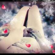 ヒメ日記 2025/12/19 23:50 投稿 さら【癒しの美声姫】 Beppin house