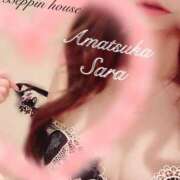 ヒメ日記 2026/03/30 13:38 投稿 さら【癒しの美声姫】 Beppin house