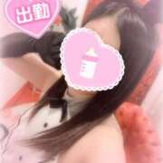 ヒメ日記 2025/05/20 08:02 投稿 ゆえ 小岩人妻花壇