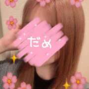 ヒメ日記 2025/05/21 10:02 投稿 ゆえ 小岩人妻花壇