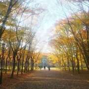 つばき 歳を取るということ 完熟ばなな神戸・三宮店