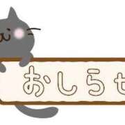 ヒメ日記 2023/09/15 08:26 投稿 天音 素人妻達☆マイふぇらレディー