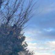 ヒメ日記 2024/12/19 08:46 投稿 天音 素人妻達☆マイふぇらレディー