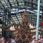 ヒメ日記 2024/12/24 18:13 投稿 天音 素人妻達☆マイふぇらレディー