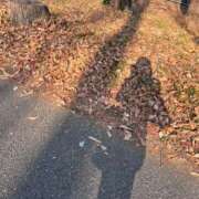 ヒメ日記 2025/01/24 09:13 投稿 天音 素人妻達☆マイふぇらレディー