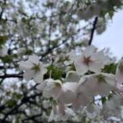 ヒメ日記 2025/04/06 20:40 投稿 天音 素人妻達☆マイふぇらレディー