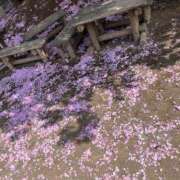 ヒメ日記 2025/04/22 22:02 投稿 天音 素人妻達☆マイふぇらレディー