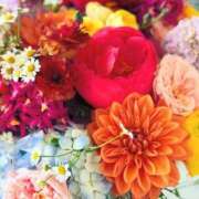 ヒメ日記 2025/04/24 08:45 投稿 天音 素人妻達☆マイふぇらレディー