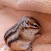 ヒメ日記 2025/05/02 20:01 投稿 天音 素人妻達☆マイふぇらレディー