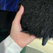 ヒメ日記 2025/05/04 13:58 投稿 天音 素人妻達☆マイふぇらレディー