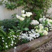 ヒメ日記 2025/05/06 07:01 投稿 天音 素人妻達☆マイふぇらレディー