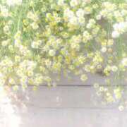 ヒメ日記 2025/05/08 23:45 投稿 天音 素人妻達☆マイふぇらレディー