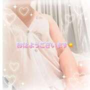 ヒメ日記 2025/05/14 09:00 投稿 天音 素人妻達☆マイふぇらレディー