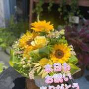 ヒメ日記 2025/06/14 18:33 投稿 天音 素人妻達☆マイふぇらレディー