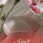 ヒメ日記 2025/07/21 15:23 投稿 天音 素人妻達☆マイふぇらレディー