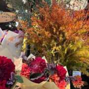 ヒメ日記 2025/10/11 09:13 投稿 天音 素人妻達☆マイふぇらレディー