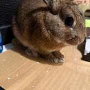 ヒメ日記 2025/10/30 13:02 投稿 天音 素人妻達☆マイふぇらレディー