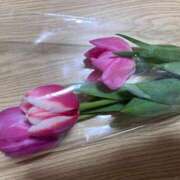 ヒメ日記 2025/11/10 07:01 投稿 天音 素人妻達☆マイふぇらレディー