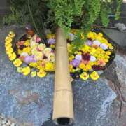 ヒメ日記 2025/11/12 09:42 投稿 天音 素人妻達☆マイふぇらレディー