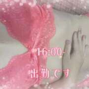 ヒメ日記 2025/11/12 15:18 投稿 天音 素人妻達☆マイふぇらレディー