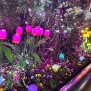 ヒメ日記 2025/11/23 08:01 投稿 天音 素人妻達☆マイふぇらレディー